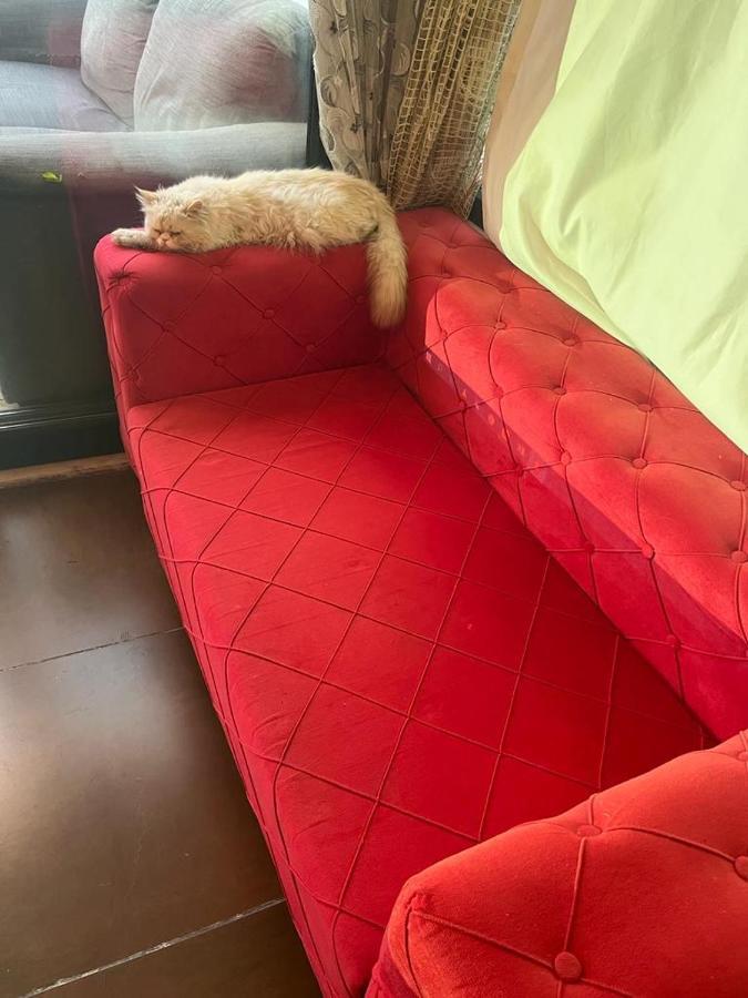 Central Apartment Kadikoy Terrace Bbq Close 2 Block Ferry Bull Metro Nighlife Stambuł Zewnętrze zdjęcie