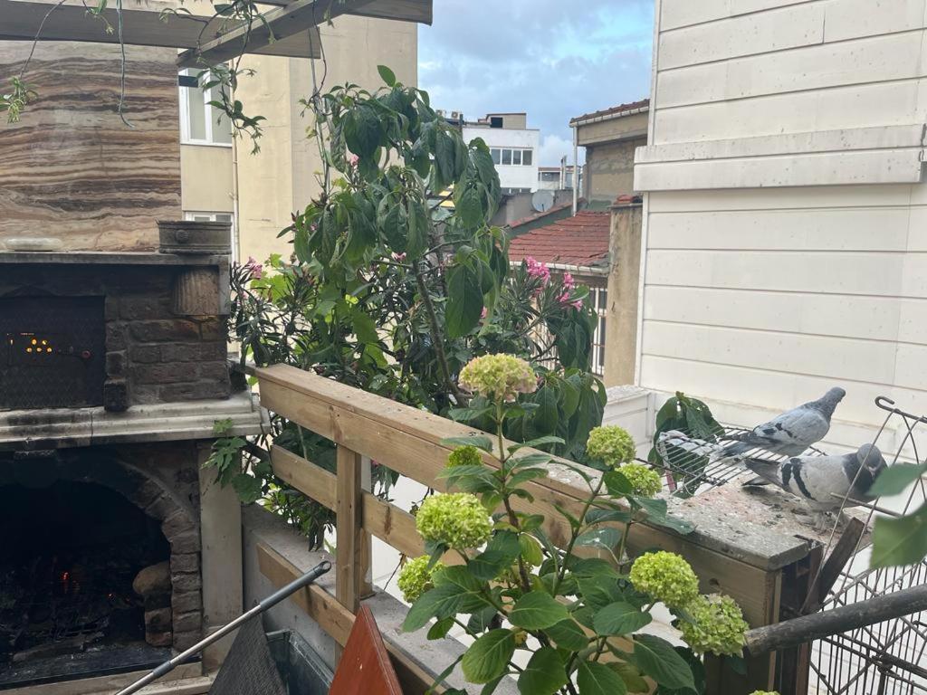 Central Apartment Kadikoy Terrace Bbq Close 2 Block Ferry Bull Metro Nighlife Stambuł Zewnętrze zdjęcie