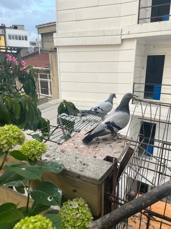 Central Apartment Kadikoy Terrace Bbq Close 2 Block Ferry Bull Metro Nighlife Stambuł Zewnętrze zdjęcie