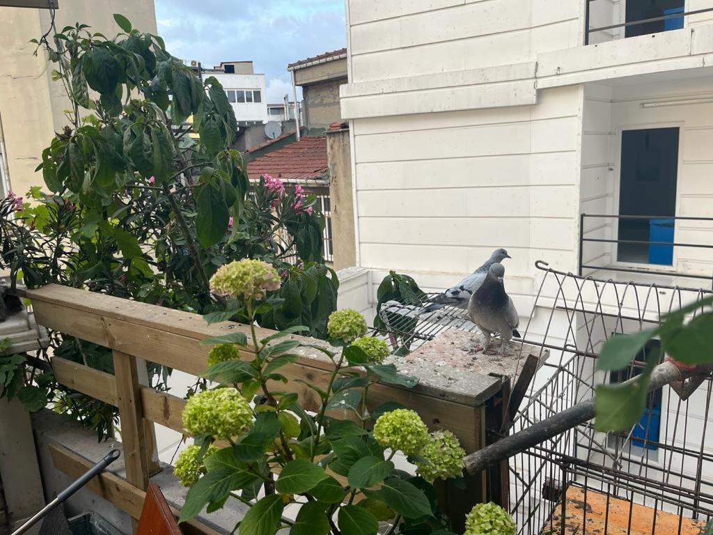 Central Apartment Kadikoy Terrace Bbq Close 2 Block Ferry Bull Metro Nighlife Stambuł Zewnętrze zdjęcie