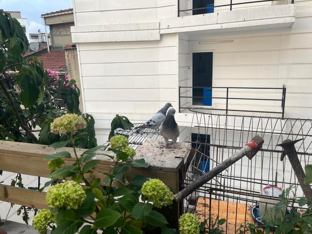 Central Apartment Kadikoy Terrace Bbq Close 2 Block Ferry Bull Metro Nighlife Stambuł Zewnętrze zdjęcie